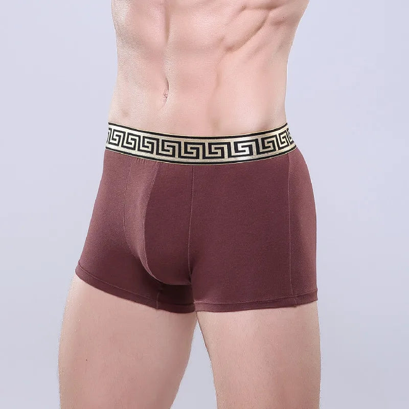 Nouveaux caleçons boxeurs en modal pour Hommes, - Solde privé - 35%
